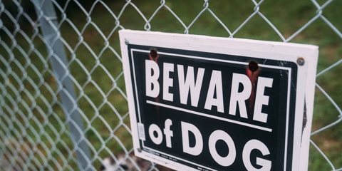 beware of dog sign